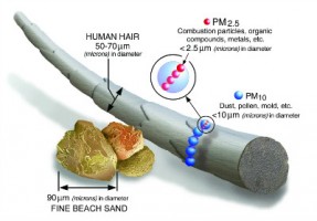 【轉載】 查了多篇科學文獻，給你一份PM2.5知識圖譜